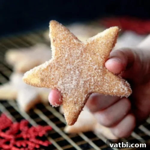 Beautiful star-shaped Biscochitos, traditional New Mexican cookies, dusted with cinnamon sugar.