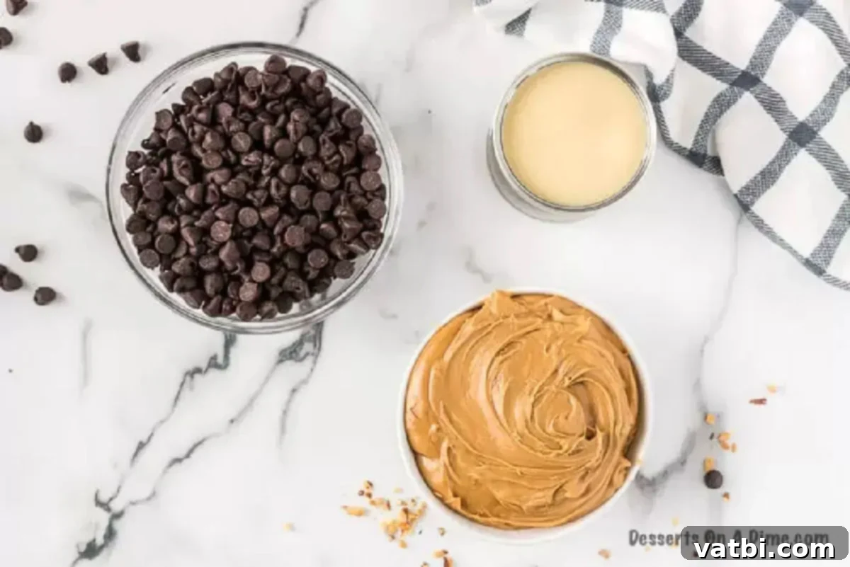 Key ingredients for easy chocolate peanut butter fudge: chocolate chips, sweetened condensed milk, creamy peanut butter, and optional peanuts.