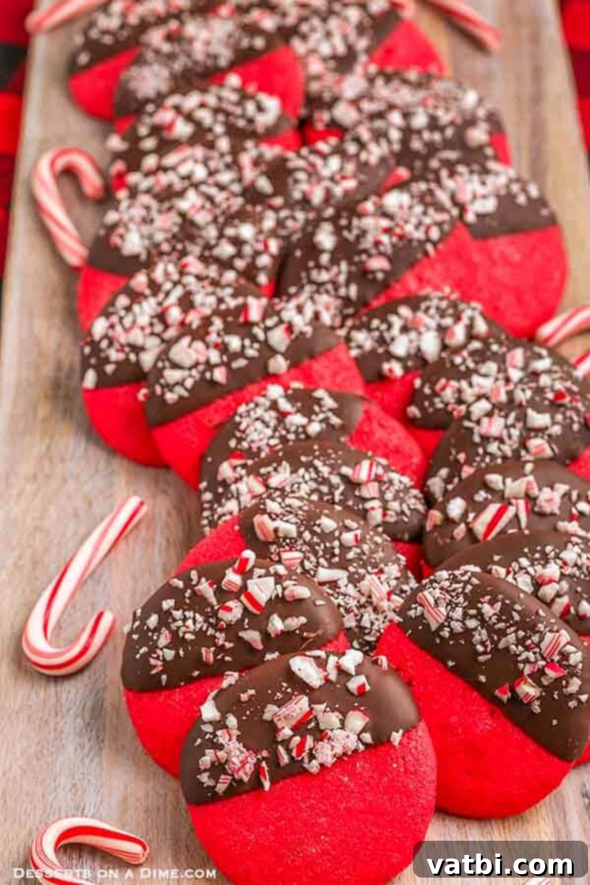 Dipped Peppermint Chocolate Delights 13 Platter of cookies surrounded by candy canes. Finished chocolate dipped peppermint cookies.