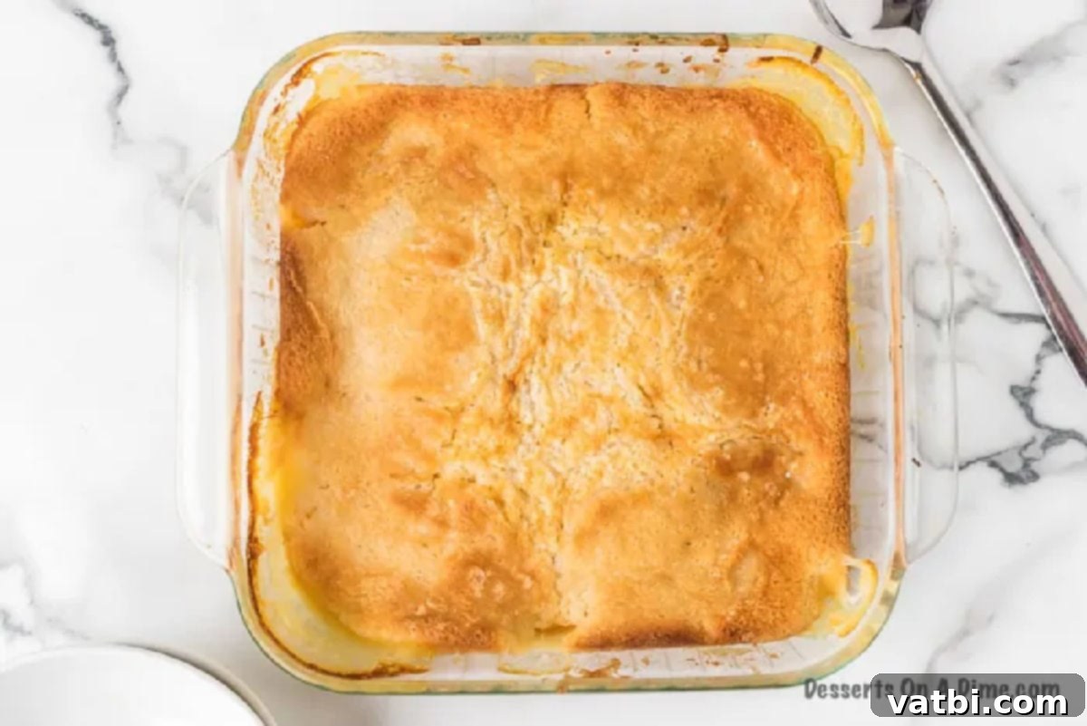 Deliciously Simple Peach Cobbler 8 Freshly baked peach cobbler, golden brown and bubbly, cooling in the pan after being removed from the oven.
