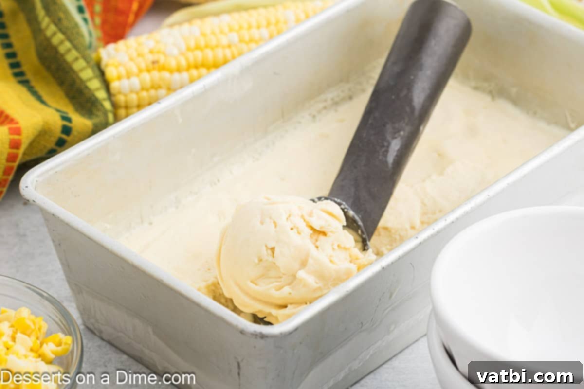 Container of corn ice cream being scooped. 