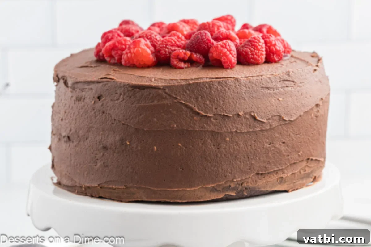 Head-Turning Holiday Cakes: Impress Without the Stress 2 Delicious chocolate cake with fresh raspberries on top, perfect for a holiday celebration.